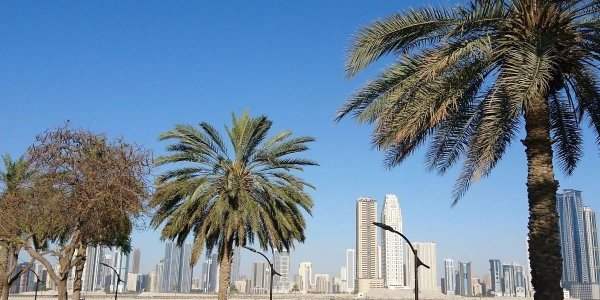 Marche Mamzar Beach