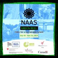 AF - CINEMA NAAS : Green Reel festival "Dans la brume"