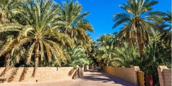 Al Ain