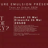 Théâtre Culture Emulsion - Qui Veut La Tete De Rakowsky ?