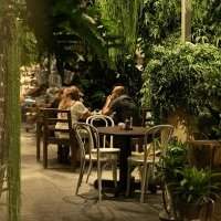 Café Adhésion / Renouvellement chez Artisan Bakers