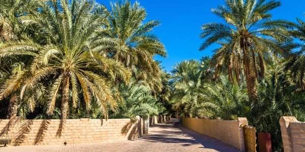 Al Ain